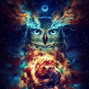 Meet your Posher, Melvin